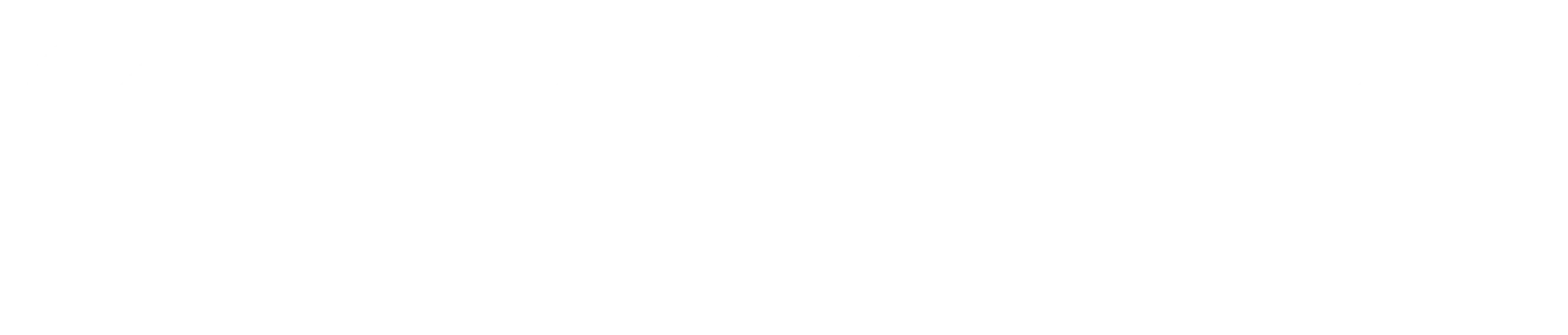 Mobile Pro Fix